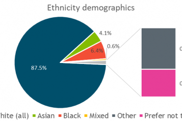 ethnicity demographics.png | Healthwatch Richmond